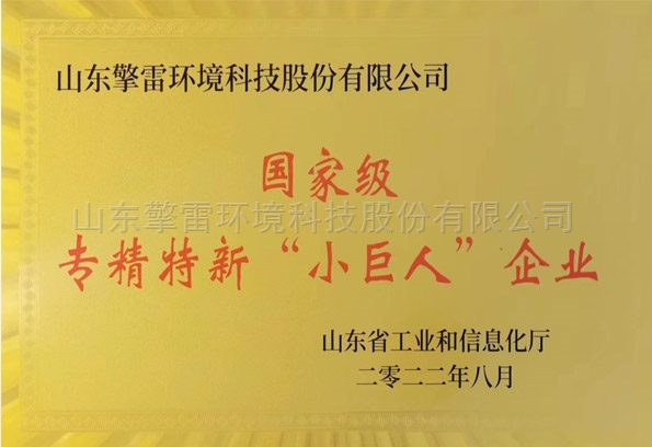 专精特新“小巨人”企业